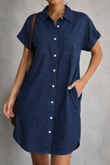 Elenore | Denim Dress
