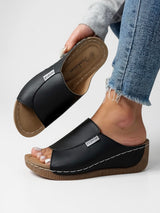Ayla | Platform Slides