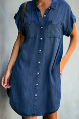 Elenore | Denim Dress